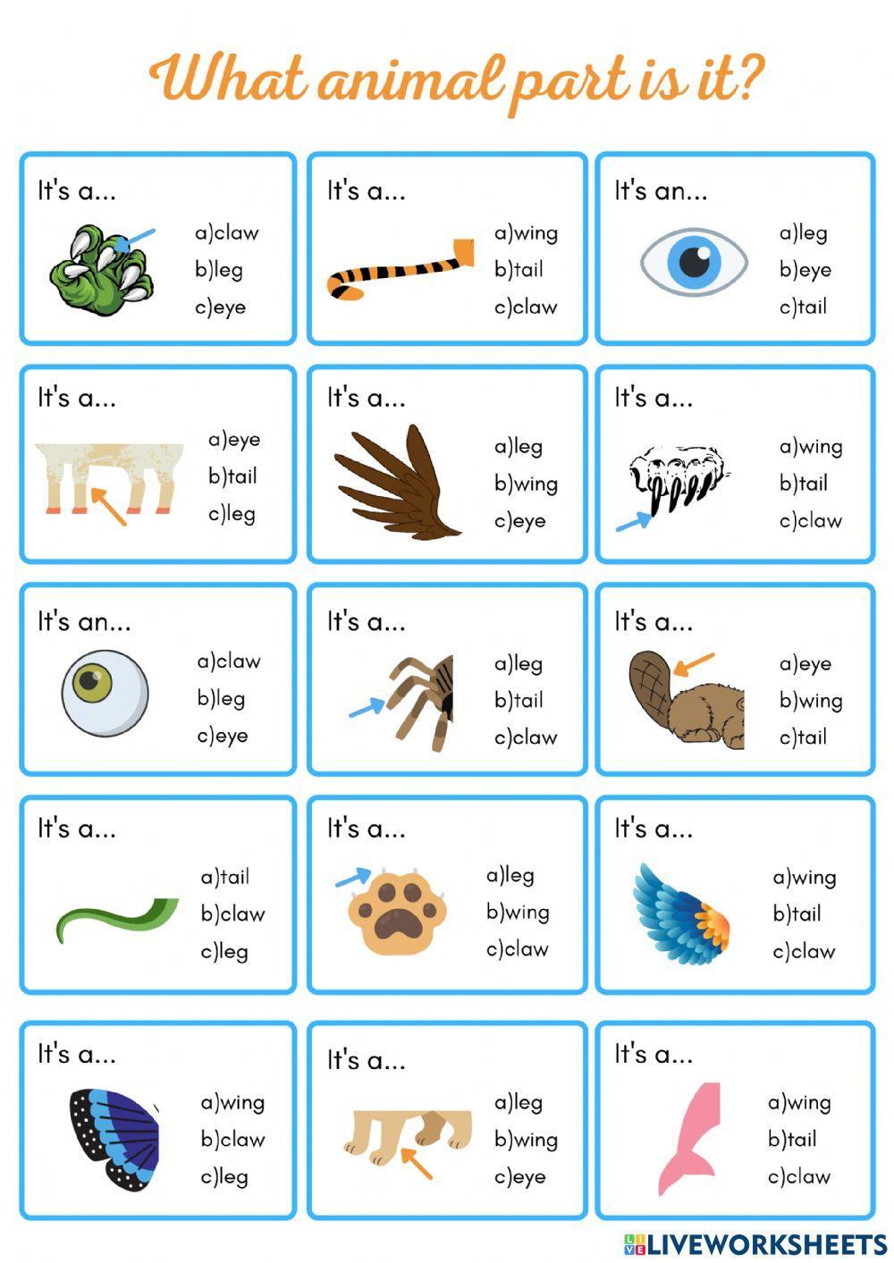 Animal parts of the body